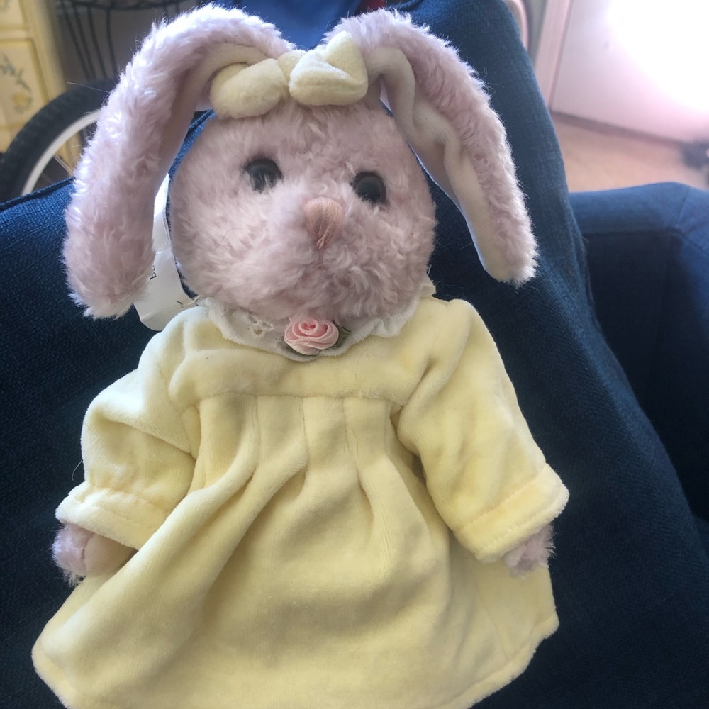 Adorable Bunny